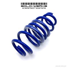 Rear Axle Spring