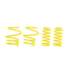ST Suspensions ST Lowering Springs 02-06 Mini R50 (incl. Conv./Cooper/Cooper S)
