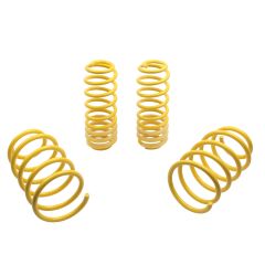 ST Suspensions ST Lowering Springs 05-14 Ford Mustang 5th gen.