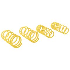 ST Suspensions ST Lowering Springs 99-05 VW Golf IV, 98-10 Beetle, 03-10 Beetle Convertible  / 00-06 Audi TT + TT Roadster (8N) 2WD